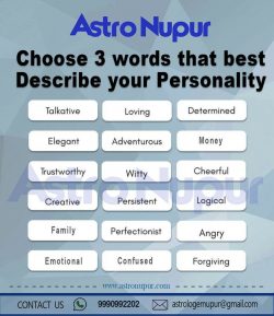 Personality Test /Quiz