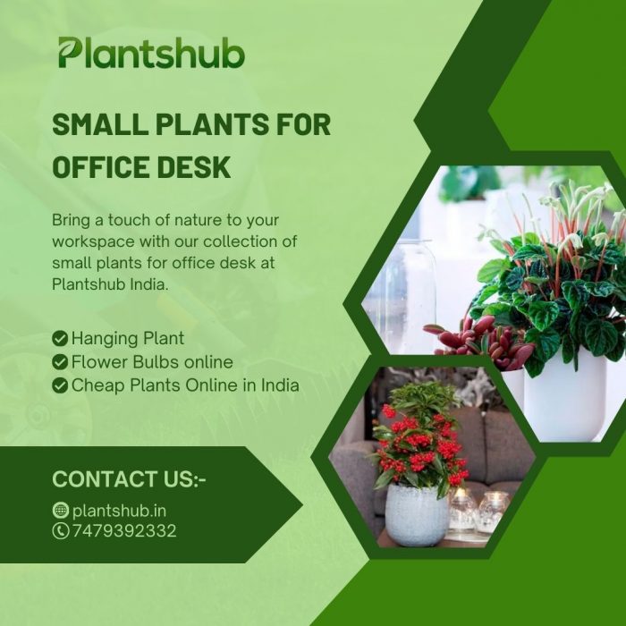 Buy Fruit Plants Online in India for Your Garden