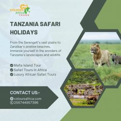 Affordable and Thrilling Budget African Safaris