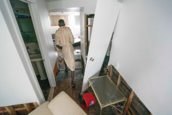 Tips for Preventing Water Damage in Your Hamilton Home