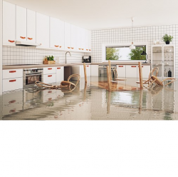 What to Look for in a Water Damage Service in Oakville