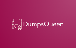 DumpsQueen Exam Dumps: Get Instant Access to Success