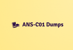 DumpsBoss ANS-C01 Exam Dumps: Your Key to Unlocking Exam Certification