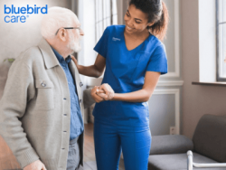 Specialist Elderly Homecare in Barnet Compassionate Care for You