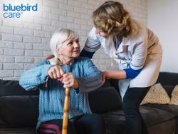 Quality Homecare Services in Enfield: Compassionate Support for Your Loved Ones