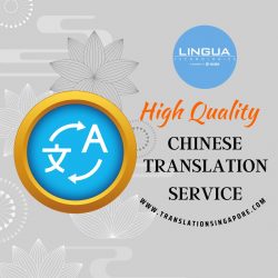 Chinese translation services Singapore