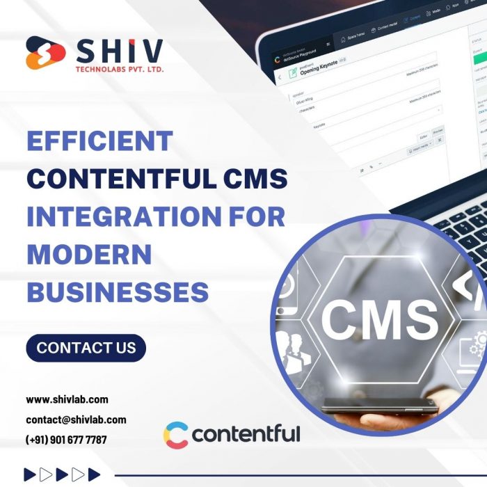 Custom Contentful CMS Solutions for Businesses