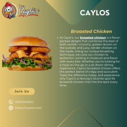 Savor the Best Chicken Burgers Only | Caylos.com