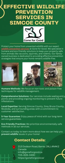 Effective Wildlife Prevention Services in Simcoe County