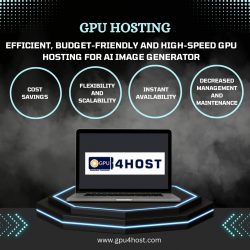 Efficient, Budget-Friendly and High-Speed GPU Hosting for AI Image Generator