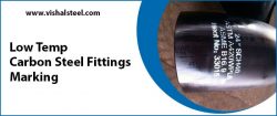 SS 316 Flanges