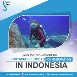 Join the Movement for Sustainable Ocean Conservation in Indonesia