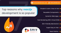 Scalable ReactJS Development Services by Shiv Technolabs