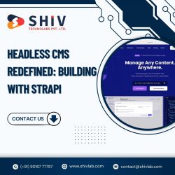 Best Strapi Headless CMS Development Services by Shiv Techolabs