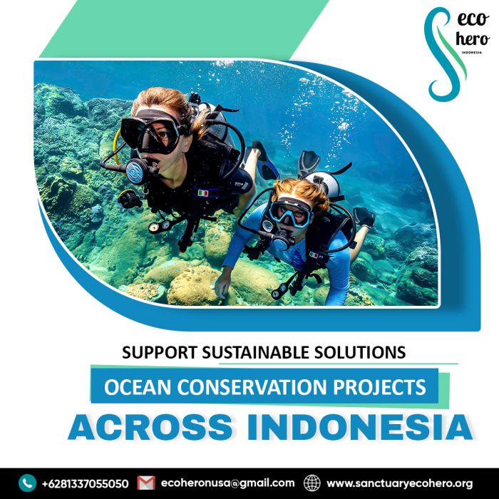 Support Sustainable Solutions – Ocean Conservation Projects Across Indonesia