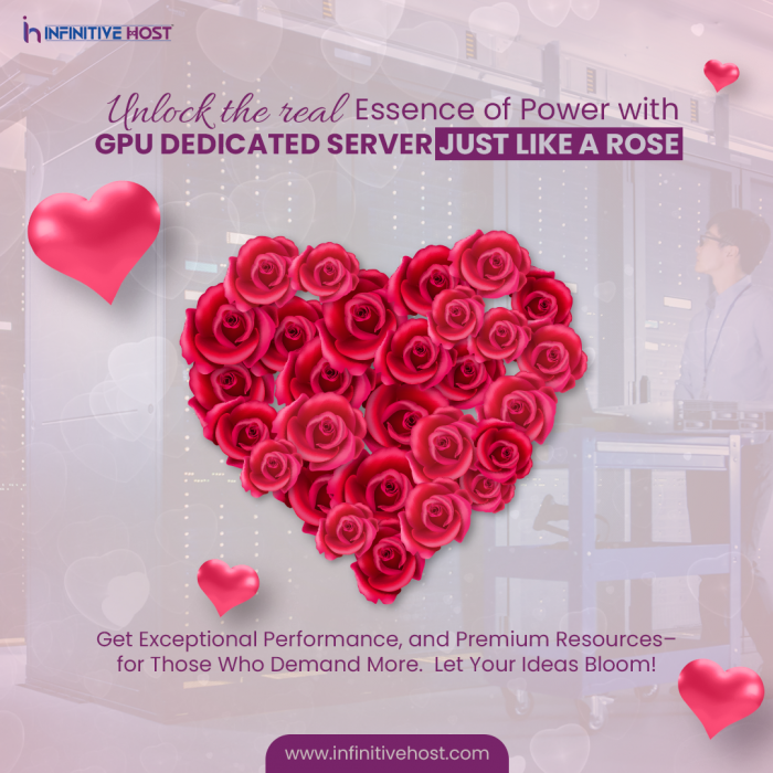 Unlock the Power of GPU Dedicated Servers Just Like A Rose