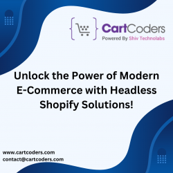 Unlock the Power of Modern E-Commerce with Headless Shopify Solutions