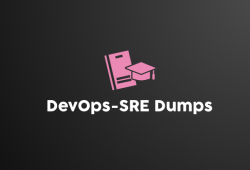 Elevate Your Exam Performance with the Expert DumpsBoss DevOps-SRE Dumps