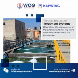 Anaerobic Digester System | WOG Group