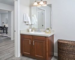 Bathroom Countertops Jacksonville, FL: Best Choices for Durability & Style