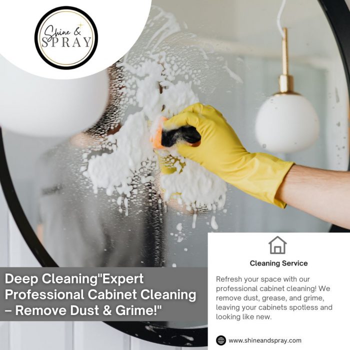 Expert Professional Cabinet Cleaning – Remove Dust & Grime!