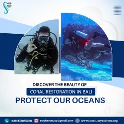 Discover the Beauty of Coral Restoration in Bali – Protect Our Oceans