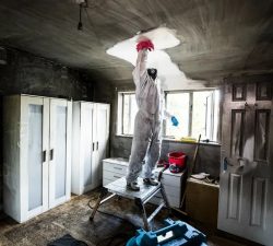 When Should You Call a Water Damage Restoration Service?