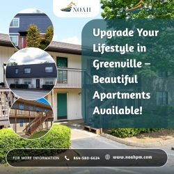 Greenville Apartments for Rent – Spacious, Affordable, and Well-Located