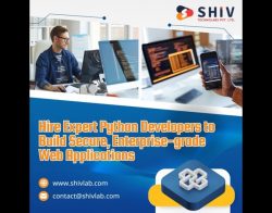 Hire Trusted Python Developers by Shiv Technolabs