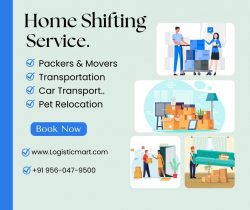 Packers and Movers in Faridabad