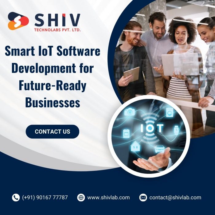 Top IoT Software Development Services for Smart Businesses