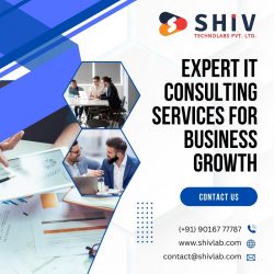 Reliable IT Consulting Services for Seamless Operations