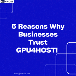 5 Reasons Why Businesses Trust GPU4HOST!