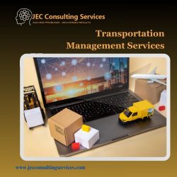 Transportation Management Services