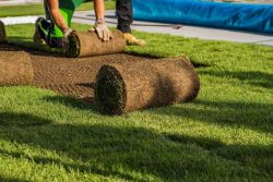 Turf Installation Near Me: Trusted by Turf Installation Sydney