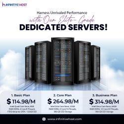 Unleash Elite Performance with Our Dedicated Servers!