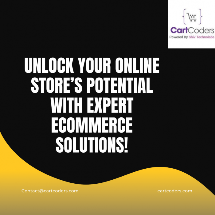 Unlock Your Online Store’s Potential with Expert eCommerce Solutions!