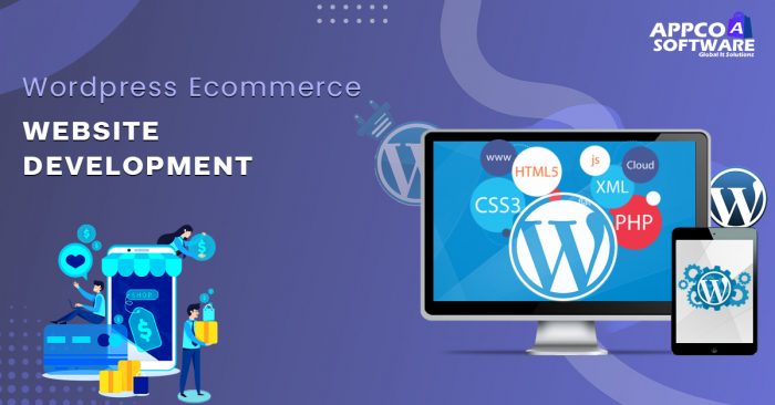 Create a Powerful Store with WordPress Ecommerce Development