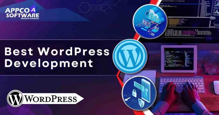 Professional WordPress Site Development Services for Your Brand