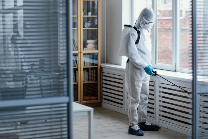 Pest Control Services Dublin: Say Goodbye to Pests Today