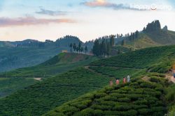 Honeymoon Tour Package from Gorakhpur