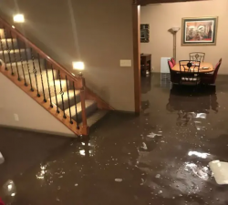 The Ultimate Guide to Basement Flood Cleanup Service
