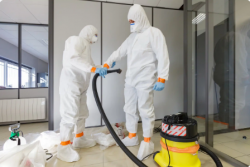 Asbestsanierung in Gelsenkirchen 0231-98194868