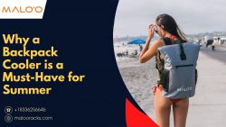 Why a Backpack Cooler is a Must-Have for Summer