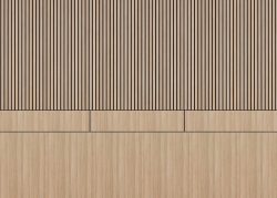 DD Belt Line Decorative Panel