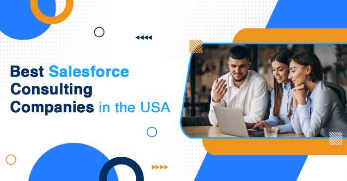 Expert Salesforce Consulting Services to Boost Business Growth