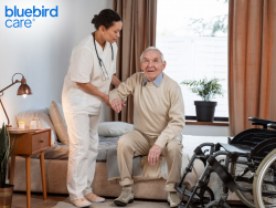Compassionate and Specialist Elderly Homecare in Barnet