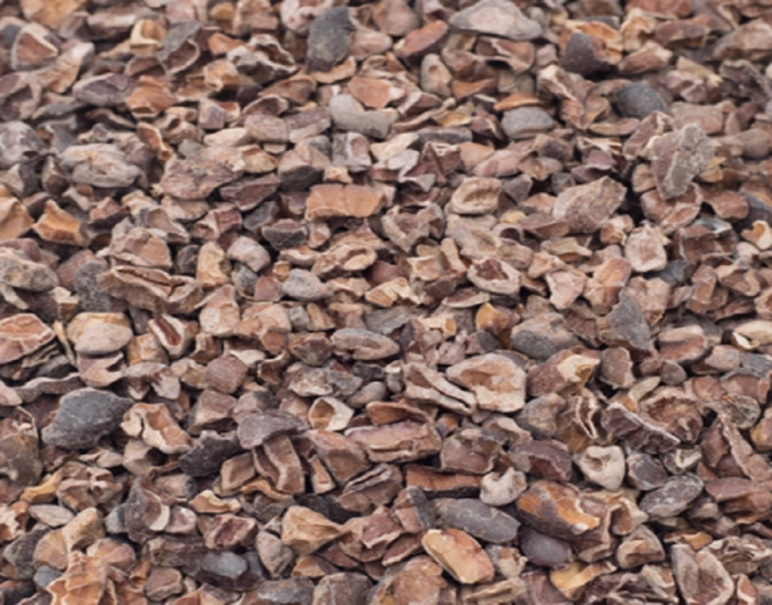 The Power of Cacao: Nature’s Superfood from Grape Tree
