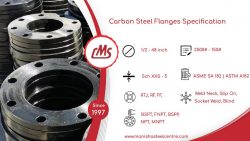 SS Flanges Manufacturers in India