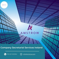 Expert Company Secretarial Services in Ireland